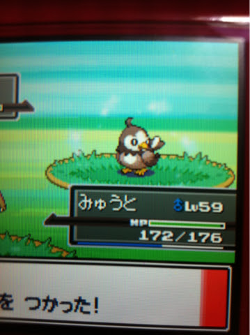 ポケトレ 色違いいつ出るんだよ