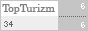 TopTurizm