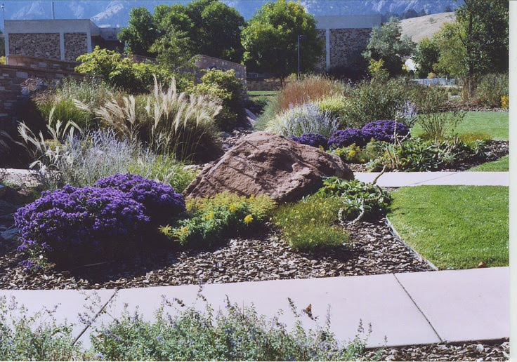 Pin by Boulder Landscape and Design on Naturalized Gardens | Pinterest