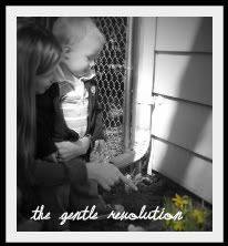 Gentle Revolution