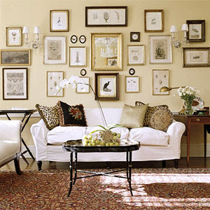 wall covered with shell and wildlife prints