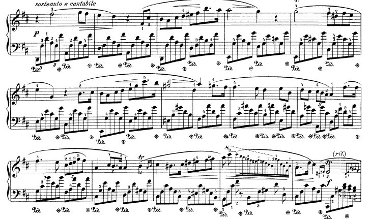 ショパン ピアノソナタ第3番ロ短調作品58 灰色の真珠 Yoshinori Nishitsuji