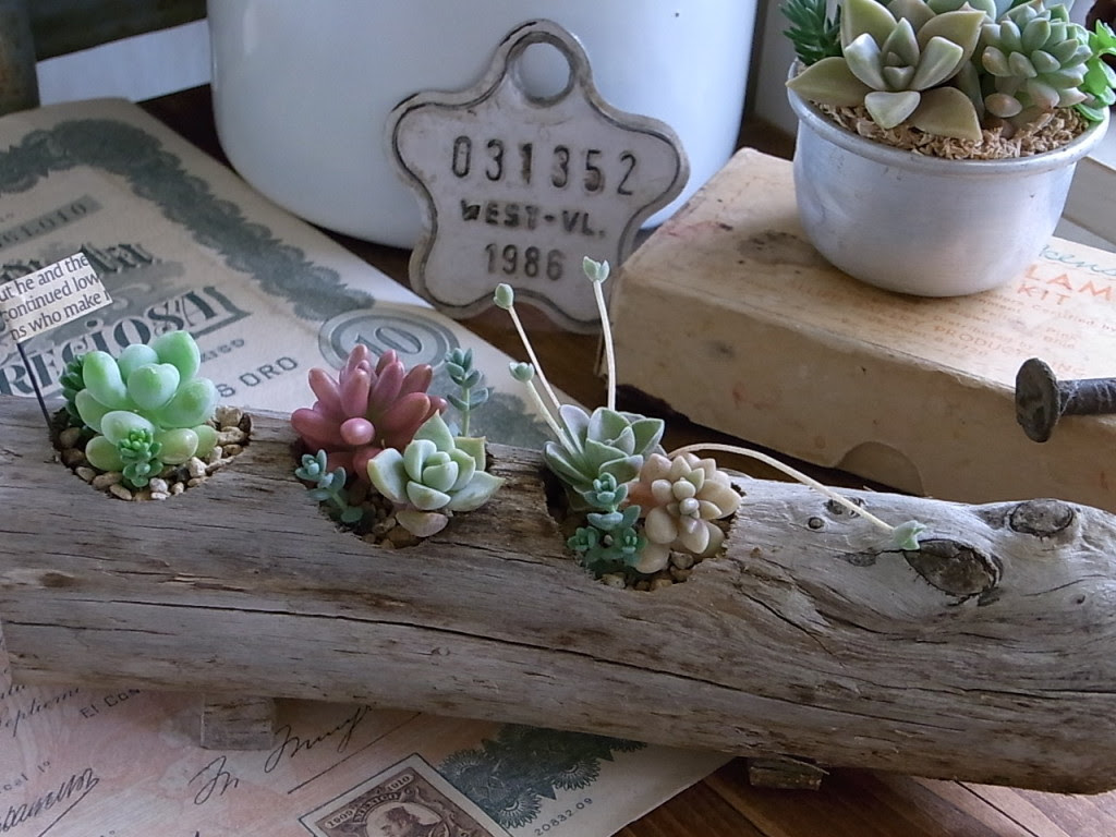 イマドキはプランターもdiy 不器用さんでも難なくdiyできるプランターまとめ Sombraverde