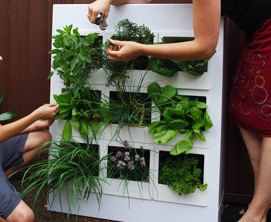 Former School Bus Converted Into Thriving Mobile Urban Garden ...