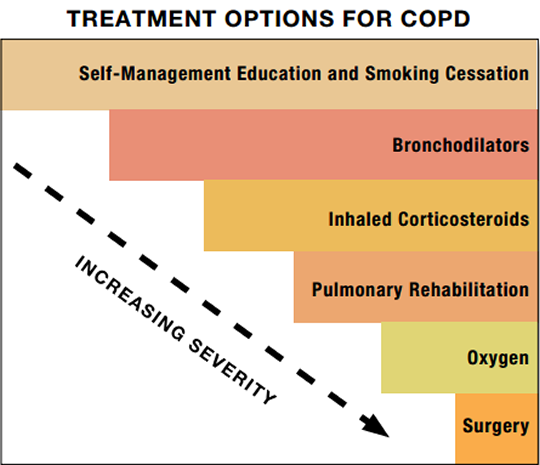 Know Your Disease: Chronic Obstructive Pulmonary Disease 