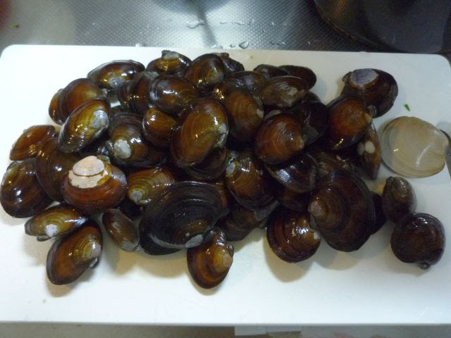 四日市 高松海岸 潮干狩り 釣り 料理 旅行日記