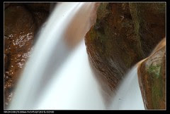 DSC_0117.jpg