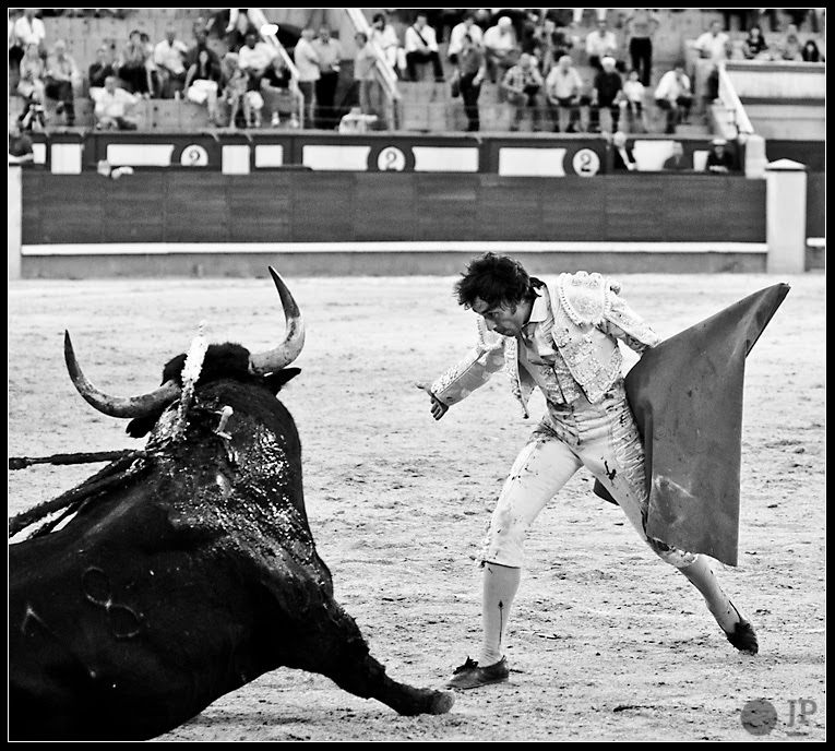 raul-velasco-17