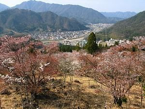 立雲峡 但馬の吉野 但馬桜の名所 朝来市