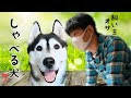 [最も好ましい] 犬 喋る 156642-犬 喋る アプリ