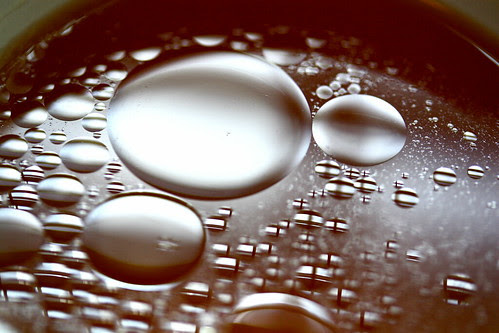 chicken broth by Muffet, on Flickr