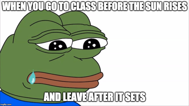 15 Hard Truths About Attending Culinary School