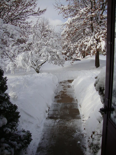 the view from my front door 1/27/11