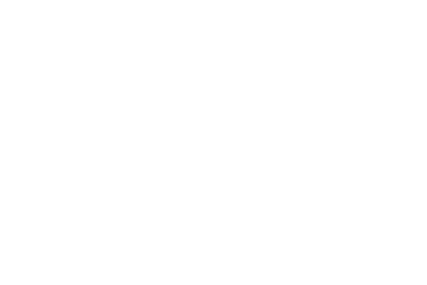 レース丸 レース素材専門サイト Da Lace ダ レース