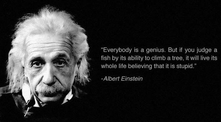 Albert Einstein Quote 3 Matheus Machado