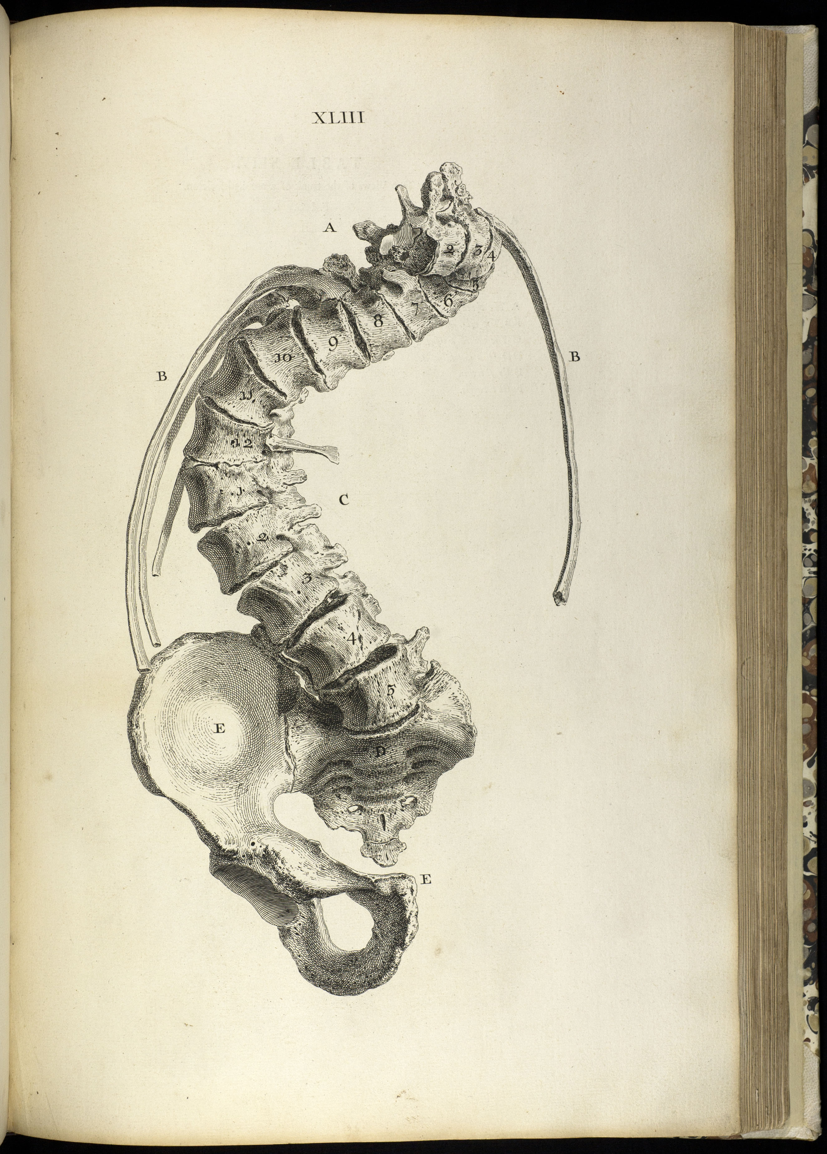 drawings tumblr dark Very Drawings www.galleryhip.com  Disturbing The