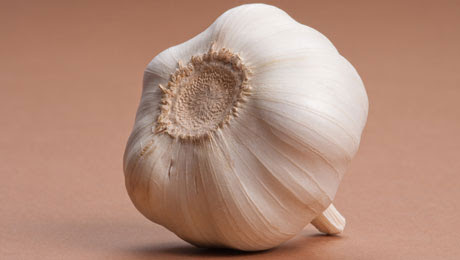garlic
