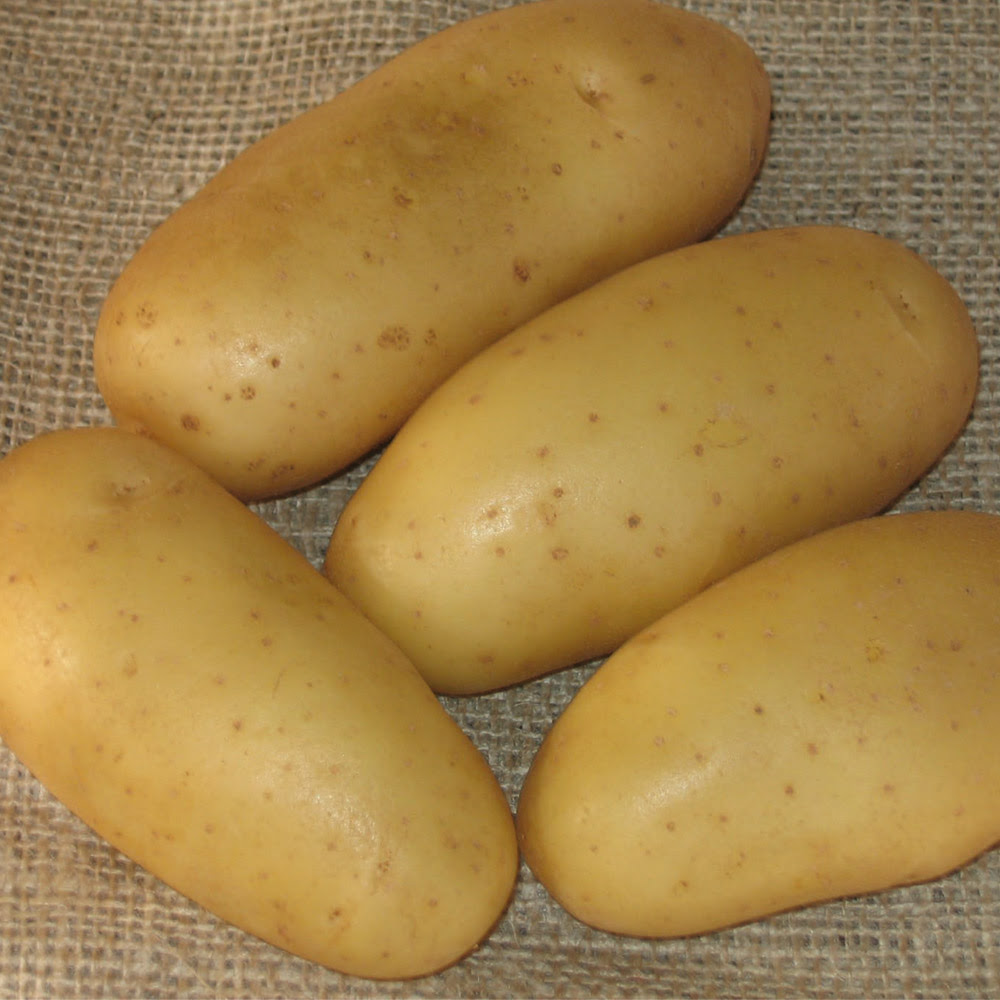 Pomme De Terre En Robe De Chambre Pommes De Terre En Robe Des Champs Robe De Chambre La Recette Chef Patate