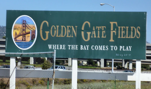 golden gate fields 085