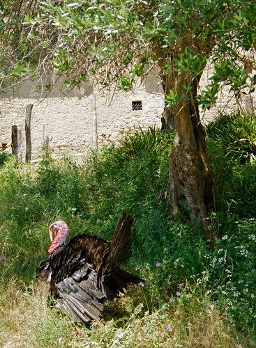 DSC09344 - Version 2
