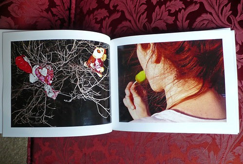 Proof pages (Remains to be Seen book)