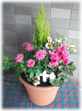 花の寄せ植えに コツがあります その方法などを調べてみます