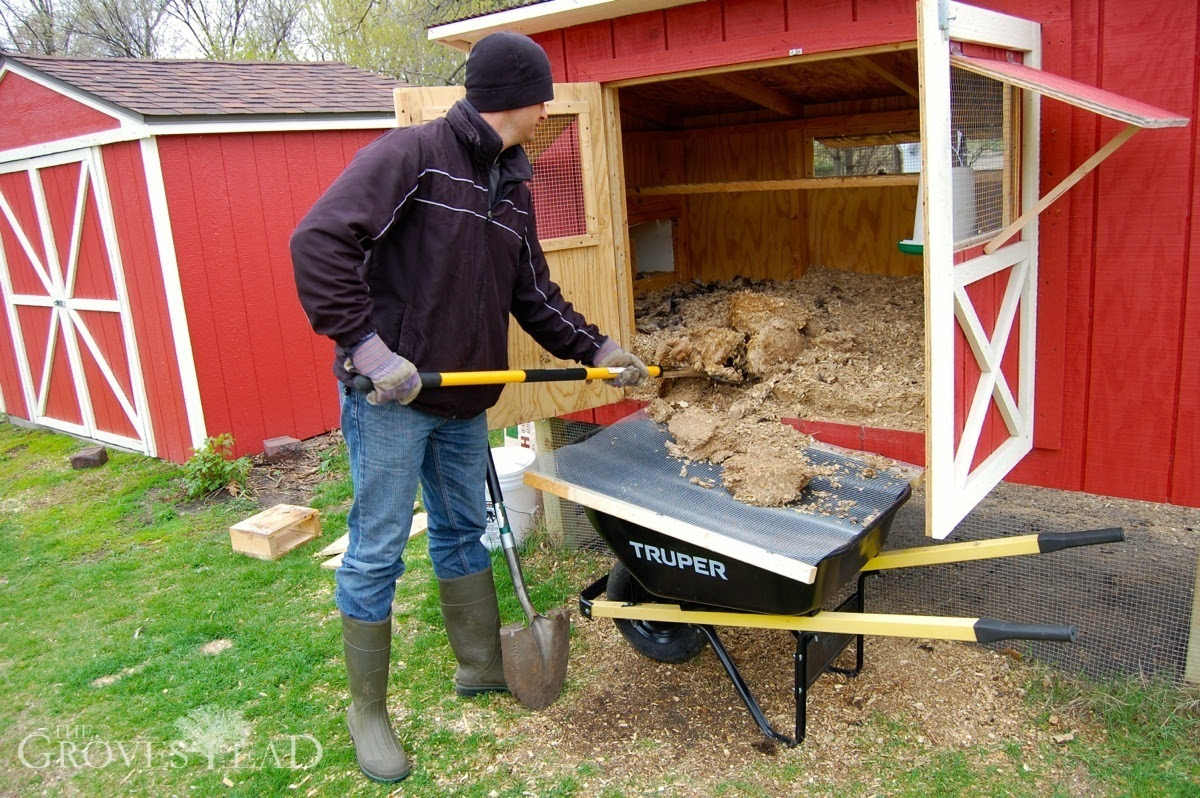 Cleaning out the coop | The Grovestead