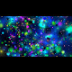 Bright Color Background For Kids : 4k Relaxing Color Changing Stars All Colors For Infants 2160p Moving Background Aavfx Youtube, Bright color background for kids.