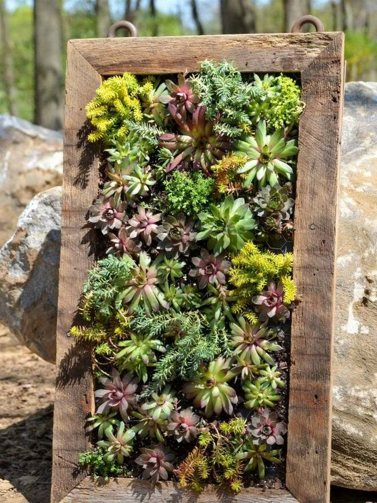 DIY Succulent Vertical Planter | Gardening Ideas | Pinterest