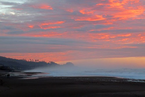 Oregon Coast 28