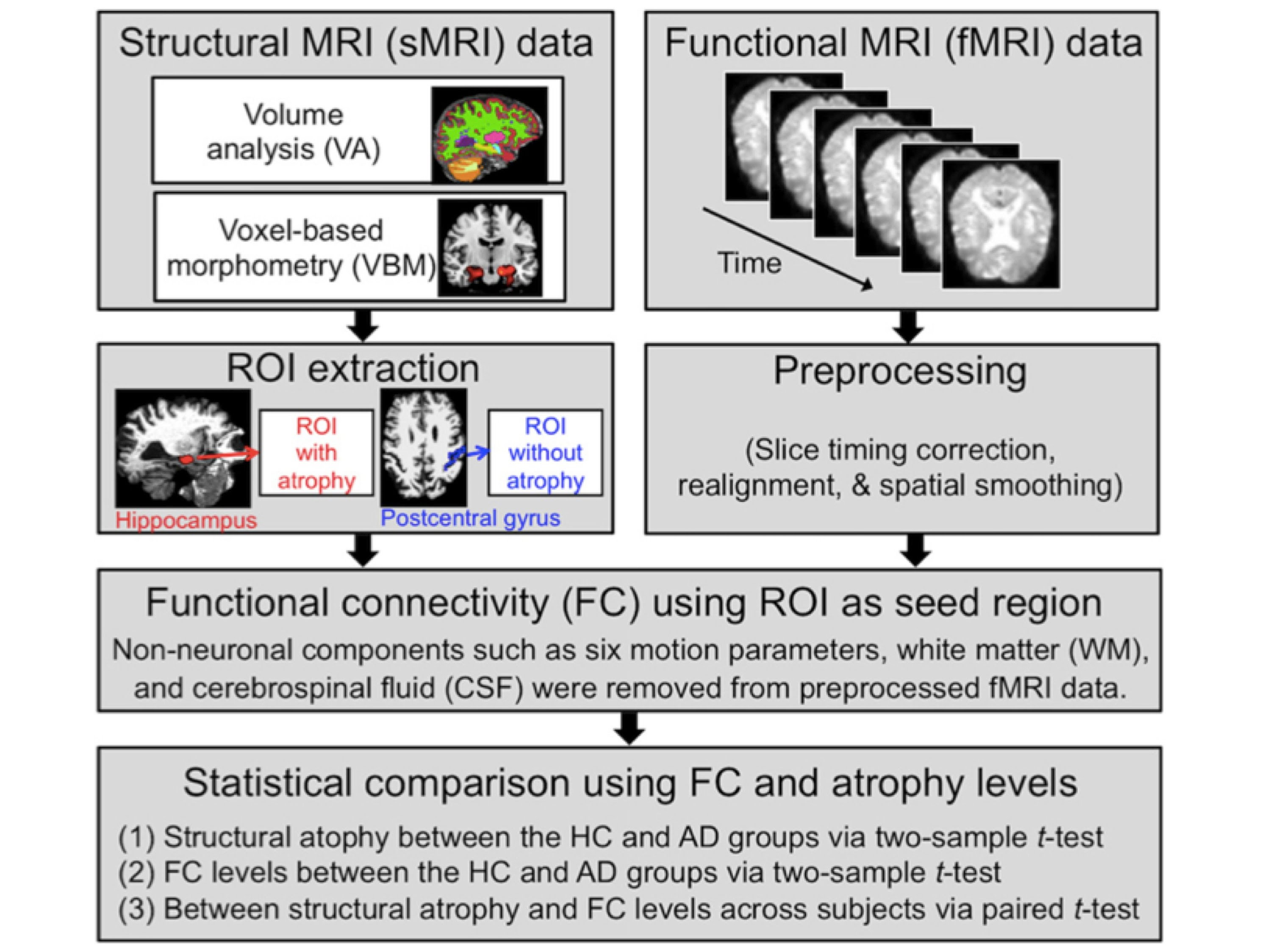 Neuropsychiatric Neurologic Disorder Classification Prediction Brain Signal Processing Lab