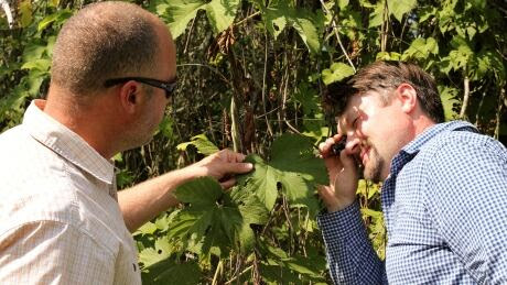 PEI hops researchers 2