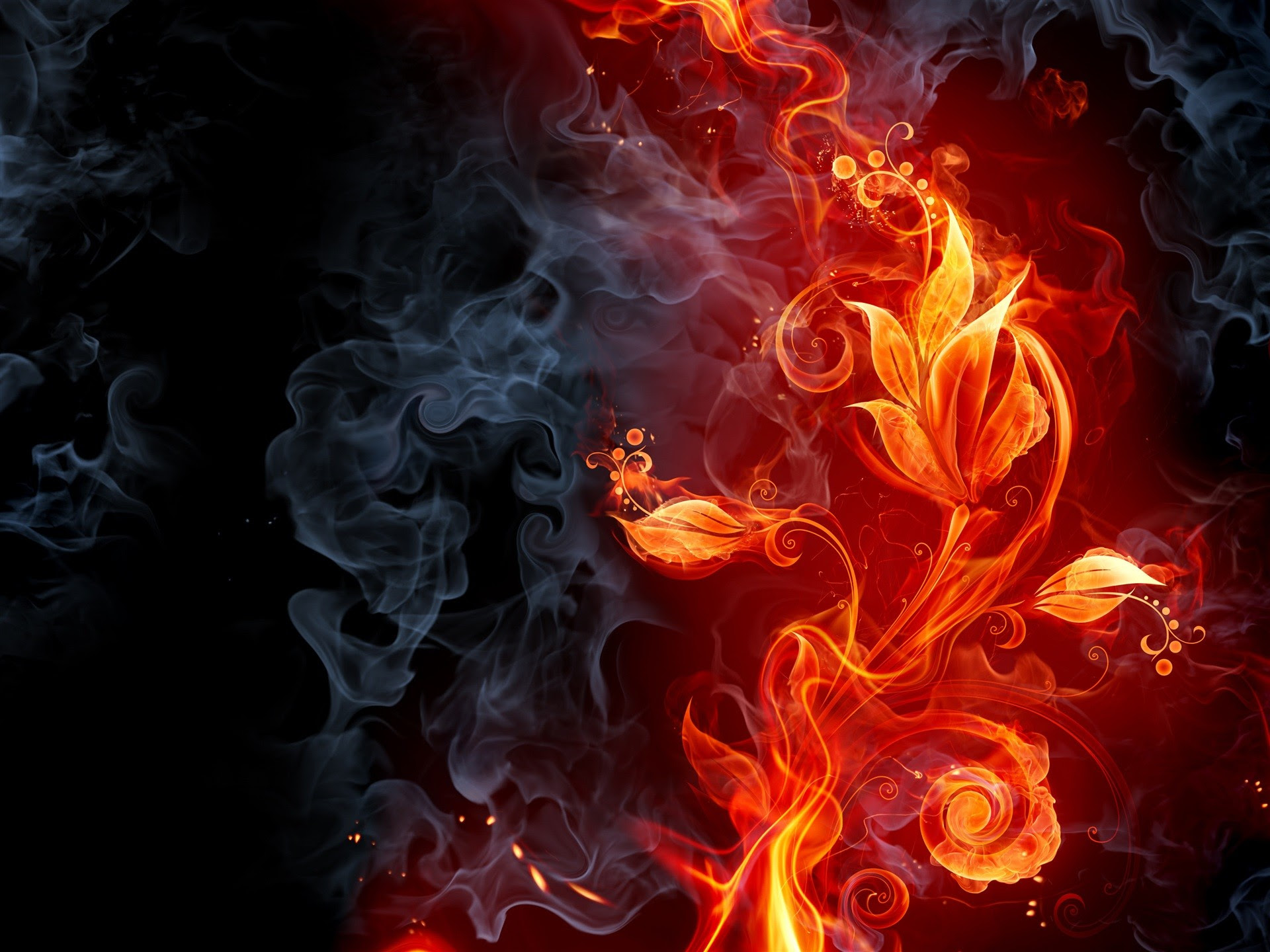 4K Animated Wallpaper (57+ images)