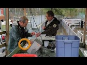 u.s. virgin islands Behind the Scenes at the Abernathy Fish Technology Center