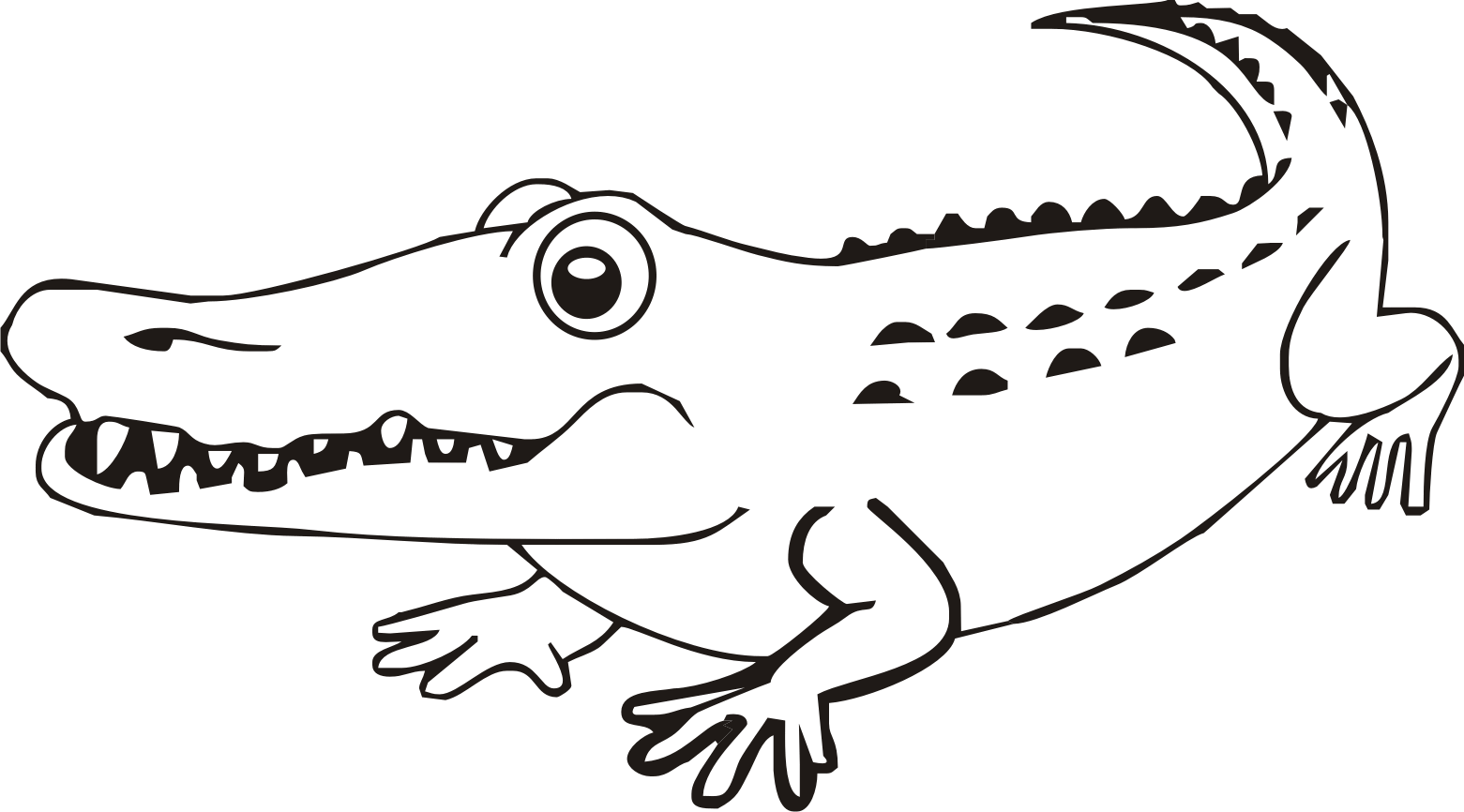 coccodrillo