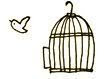 Bird Flying Out Of Cage