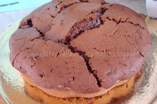 Torta allo Yogurt e Cacao con Marmellata di Arance amare