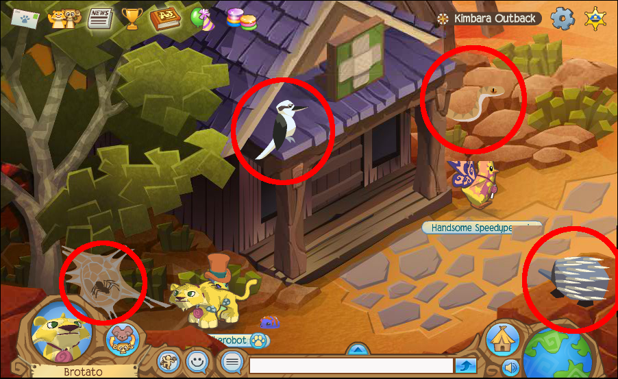 animal jam kimbara outback
