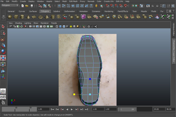 Step 11 Image
