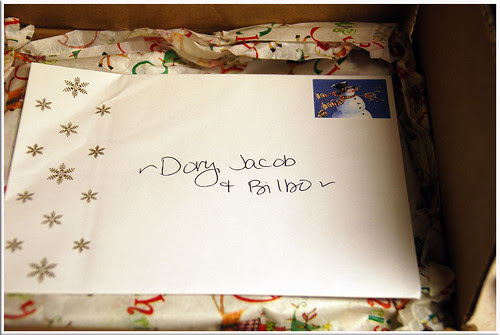 SantaPawsPressie