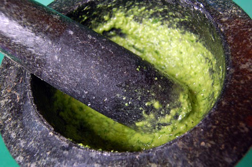 pesto© by haalo