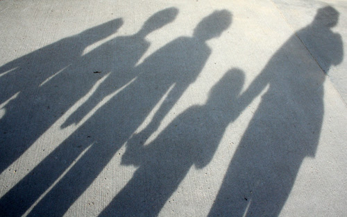 fall shadows