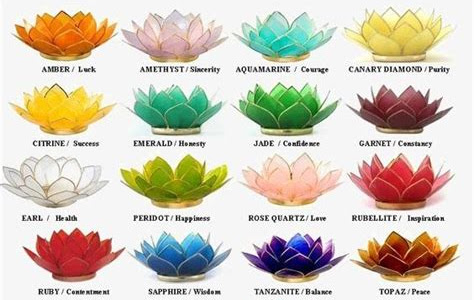 Read Online Lotus of Another Color [PDF DOWNLOAD] PDF
