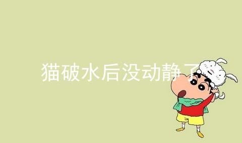 猫破水后没动静了 猫羊水破了最晚不能超过几个小时 怎么判断猫崽胎死腹中 宠伴网