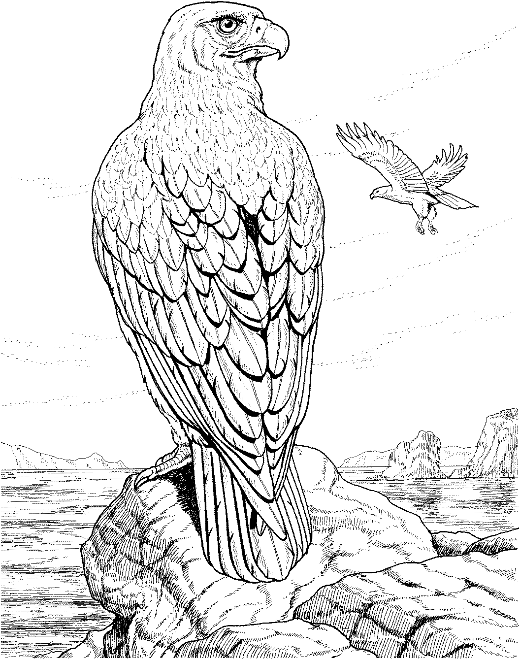 Download Free Eagle Coloring Pages