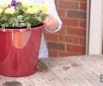 Self-Watering Planter Inserts