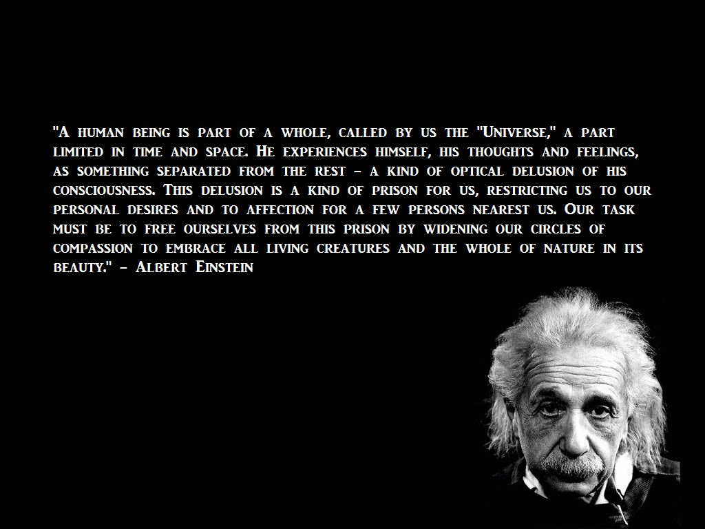 25 Phenomenal Albert Einstein Quotes