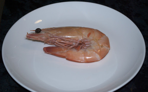 Prawns 01