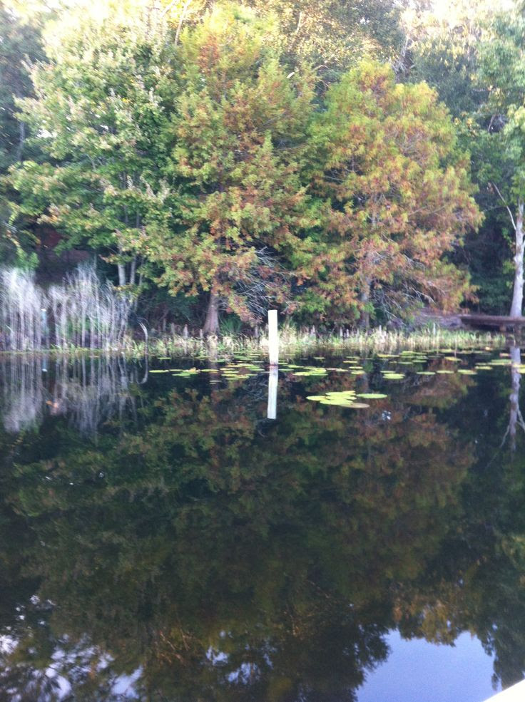 Park Twin Lakes Rv Defuniak Spring Fl