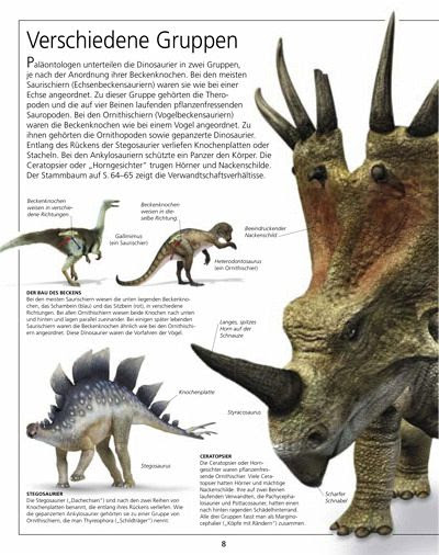 Download kostenlos online Dinosaurier \/ memo  Wissen entdecken Bd.1  1000000 free eBooks
